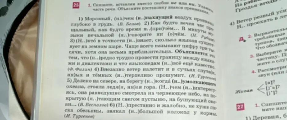 Предлагаешь вставить *не* или *ни* в упражнении 25.