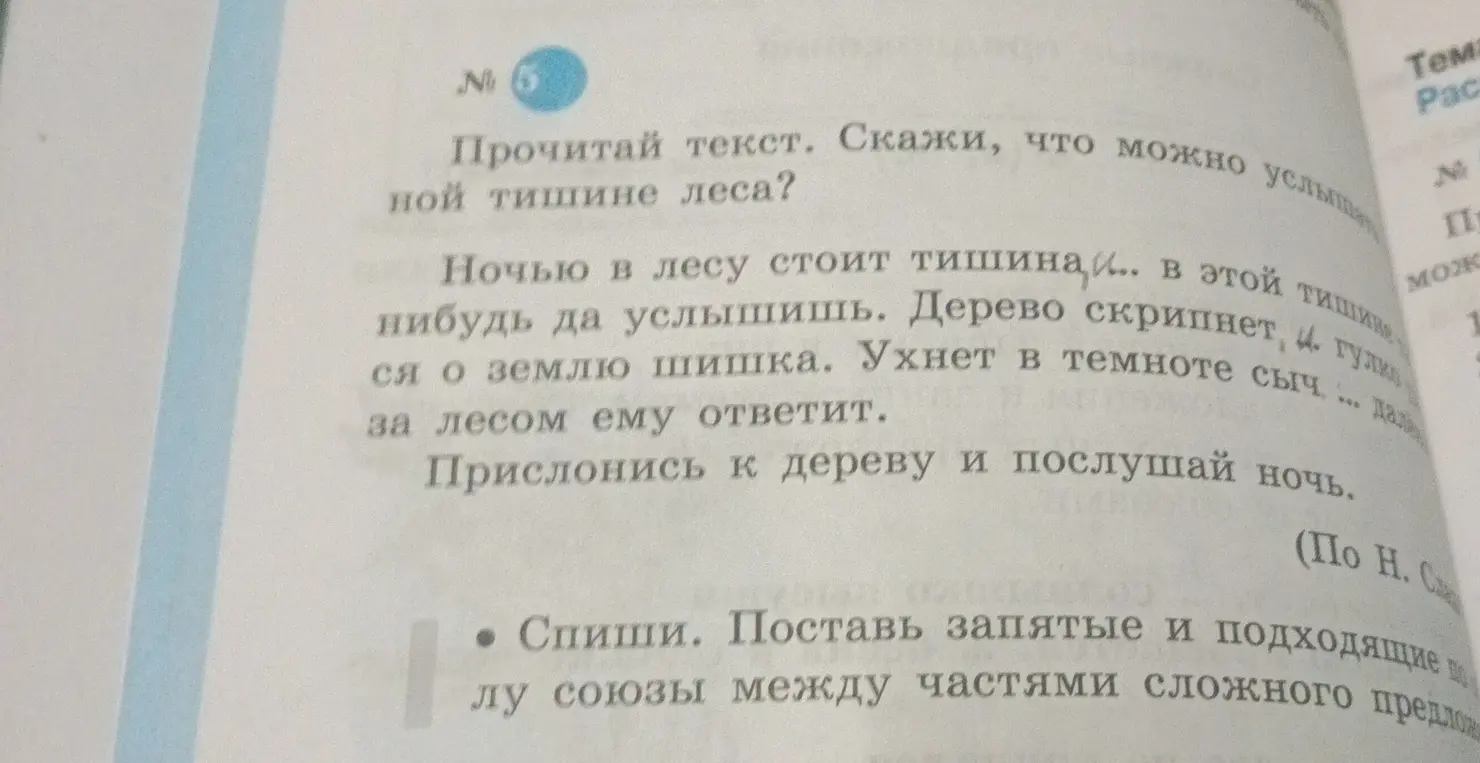 Предложи текст, прочитанный тобой, и скажи, что можно услышать в ночной тишине леса