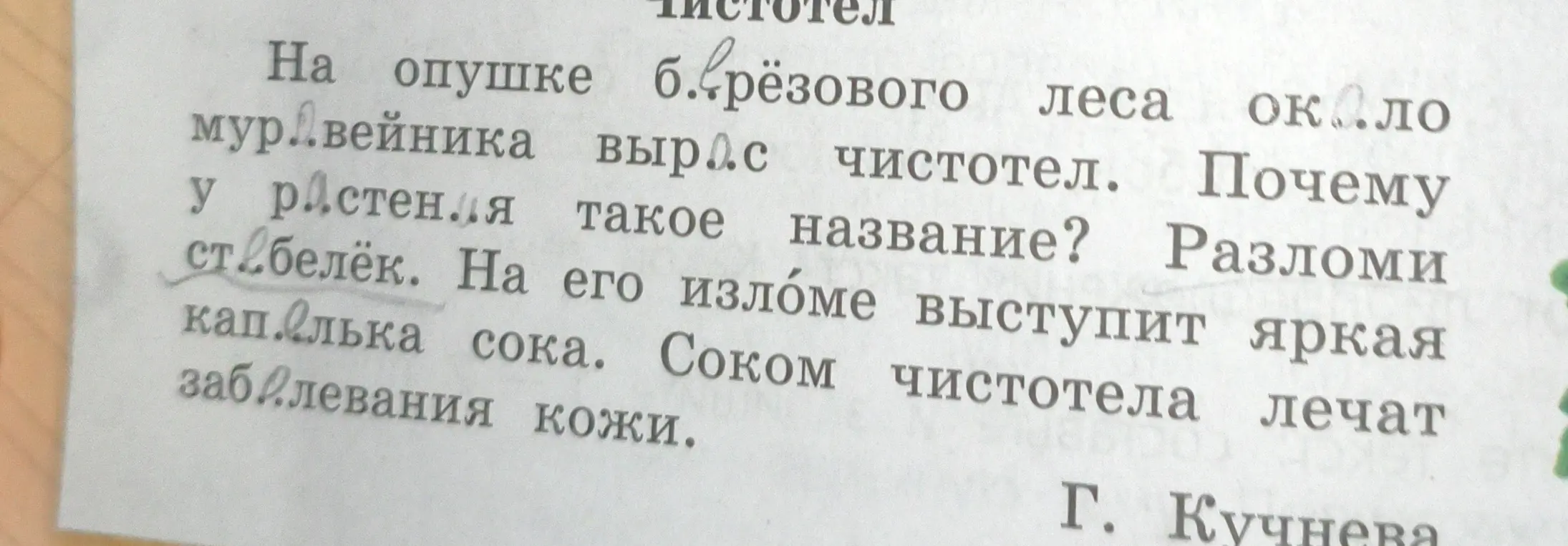 Почему у растения чистотел такое название?