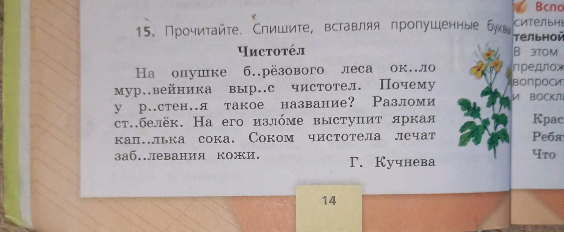 Прочитай, спиши текст, вставляя пропущенные буквы: б..рёзового леса, мур..вейника, выр..с, р..стен..я, ст..белёк, кап..лька, заб..левания.