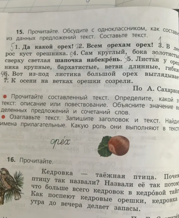 Составь текст из предложений про орех и определи его тип