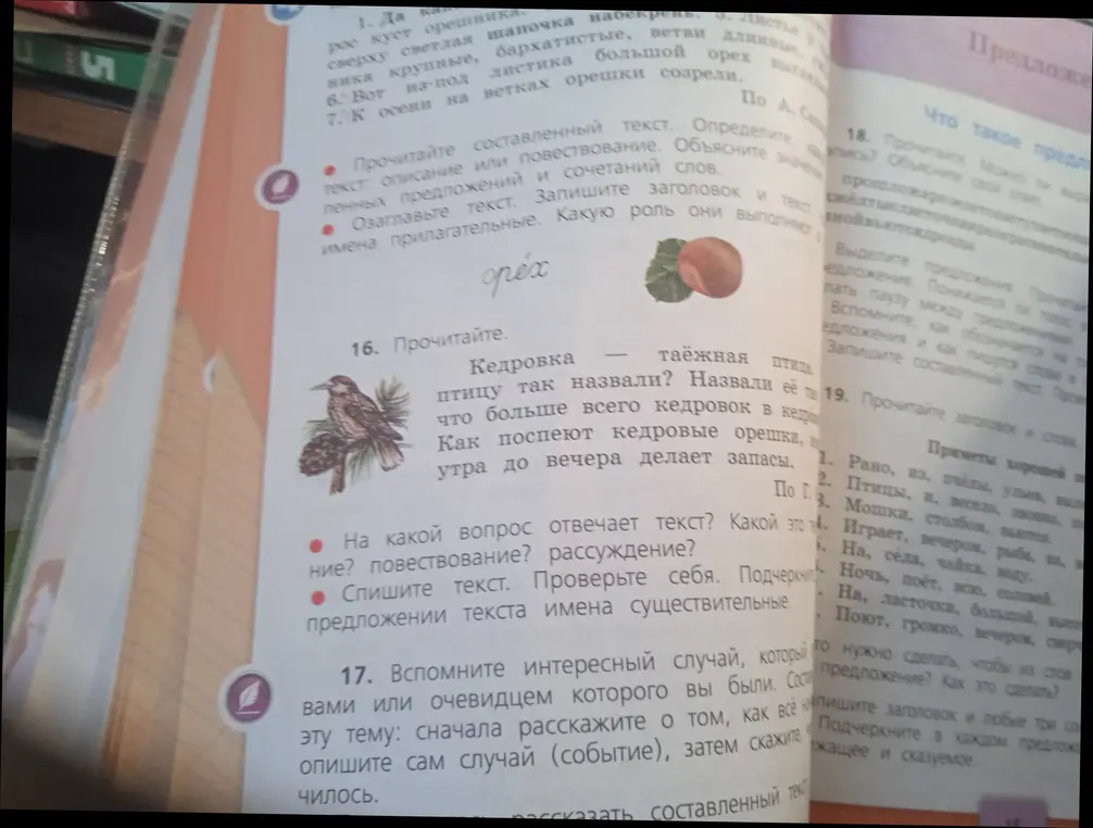 Ты просишь прочитать текст о кедровке, ответить на вопрос о типе текста, списать текст и подчеркнуть имена существительные, также просишь составить текст о случае, очевидцем которого ты был, объяснить, можно ли выразить мысль одним словом, выделить предложения, прочитать их и вспомнить, как обозначаются границы предложений на письме и прочитать заголовок и слова и составить из них три предложения и подчеркнуть подлежащее и сказуемое.