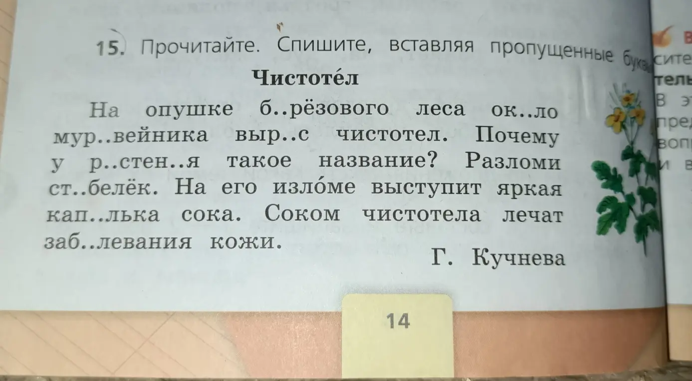 Помоги мне выполнить упражнение: вставь пропущенные буквы, определи типы предложений, укажи грамматическую основу в первом предложении и разбери по составу слово 'чистотел'.