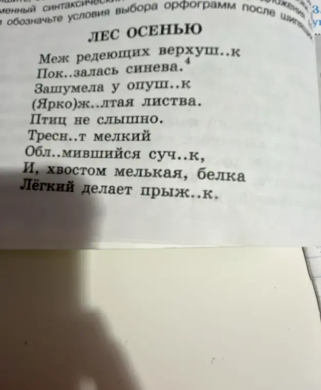 Впиши недостающие буквы, грамматически обозначая правила написания в тексте "Меж редеющих верхуш..к..."