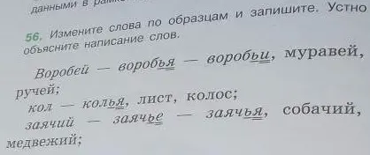 Измени слова по образцам: воробей