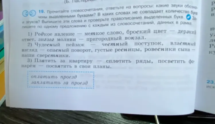 Составь предложения с фразами "оплатить проезд" и "заплатить за проезд"