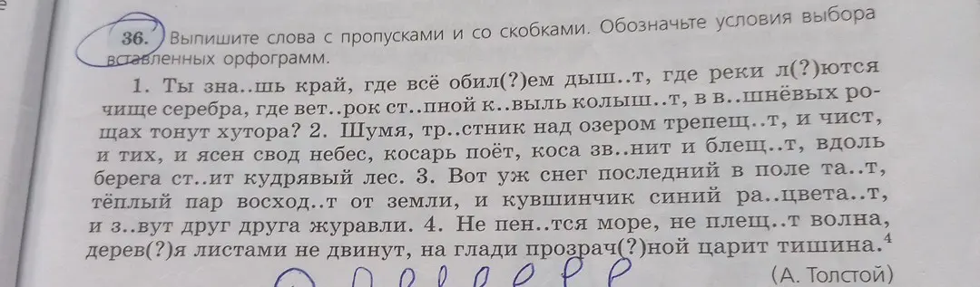 Выпиши слова с пропусками и со скобками из текста и обозначь условия выбора вставленных орфограмм.