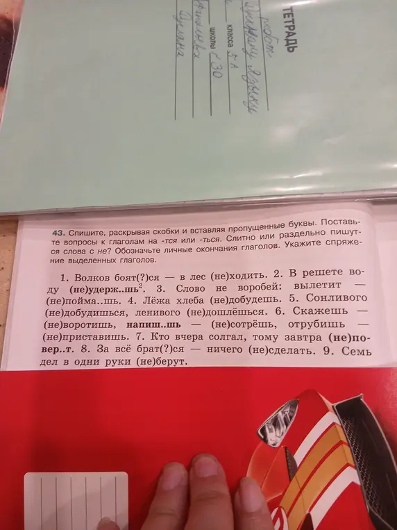 Помоги с упражнением: спиши, раскрыв скобки и вставляя пропущенные буквы в предложении «Волков боят(?)ся — в лес (не)ходить».