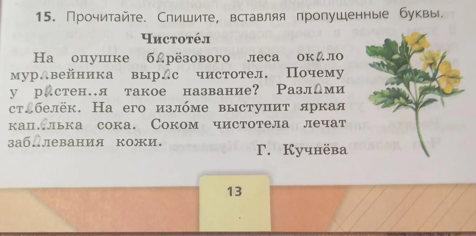 Можешь ли ты вставить пропущенные буквы в тексте про чистотел?