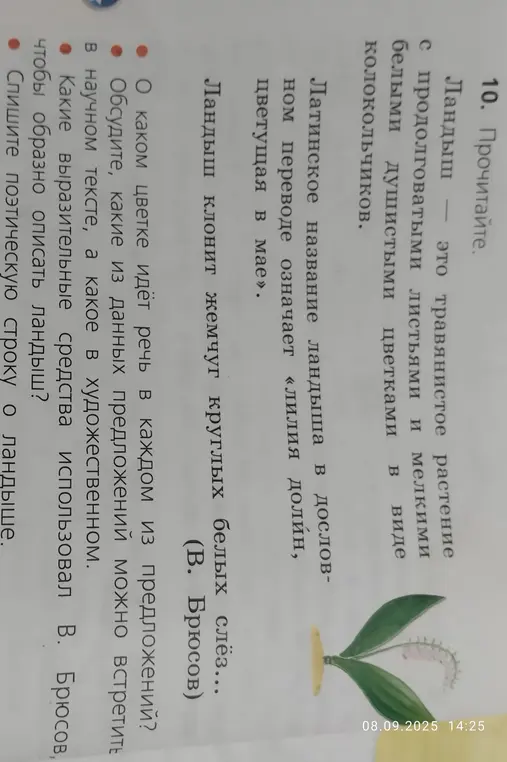 Определи, о каком цветке идёт речь в каждом из предложений?