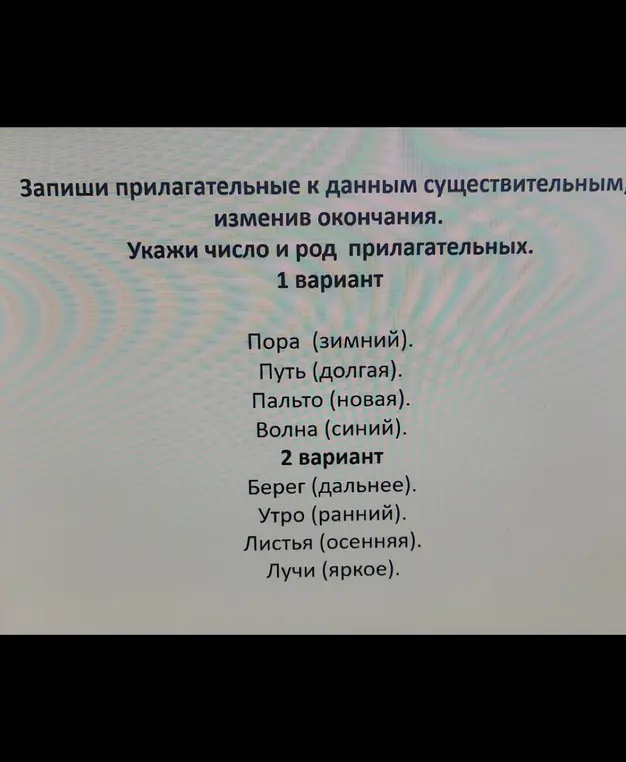 Помоги записать прилагательные к данным существительным, изменив окончания. Укажи число и род прилагательных (1 вариант).