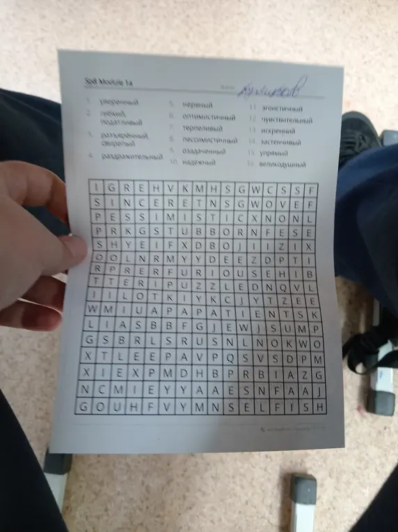 Ты просишь меня найти слова в сетке букв на картинке.