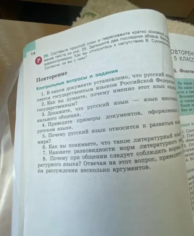 В каком документе установлено, что русский язык является государственным языком Российской Федерации?