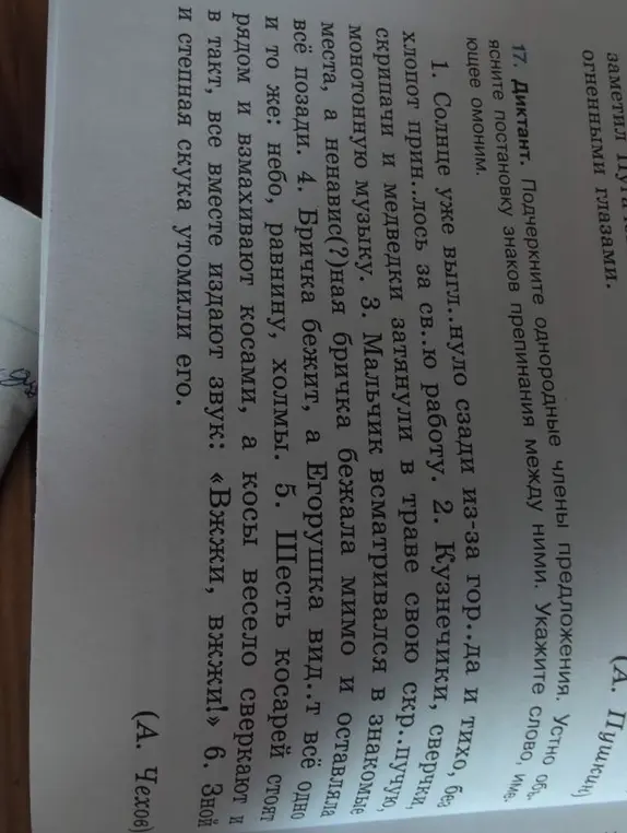 Подчеркни однородные члены предложения и объясни постановку знаков препинания, укажи слово, имеющее омоним