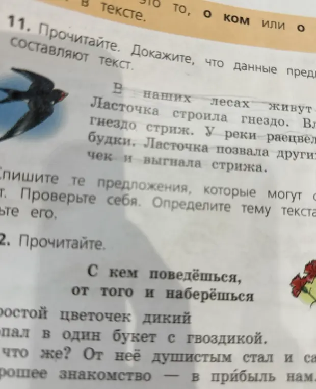 Объясни, как доказать, что данные предложения составляют текст в упражнении 11