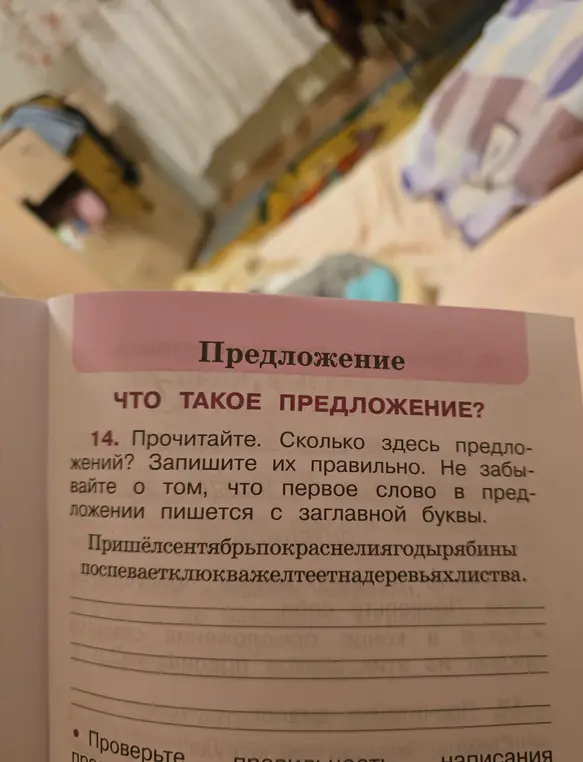 Ты просишь прочитать текст, определить количество предложений и записать их правильно