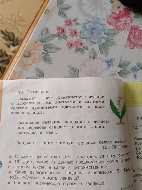 Объясни, о каком цветке идёт речь в каждом из предложений, какие предложения можно встретить в научном тексте, а какие в художественном?