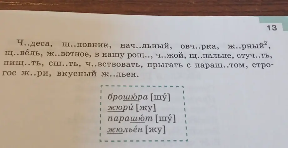Помоги вставить пропущенные буквы в слова: Ч..деса, ш..повник, нач..льный, овч..рка, ж.рный