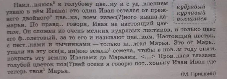 Вставь пропущенные буквы в тексте