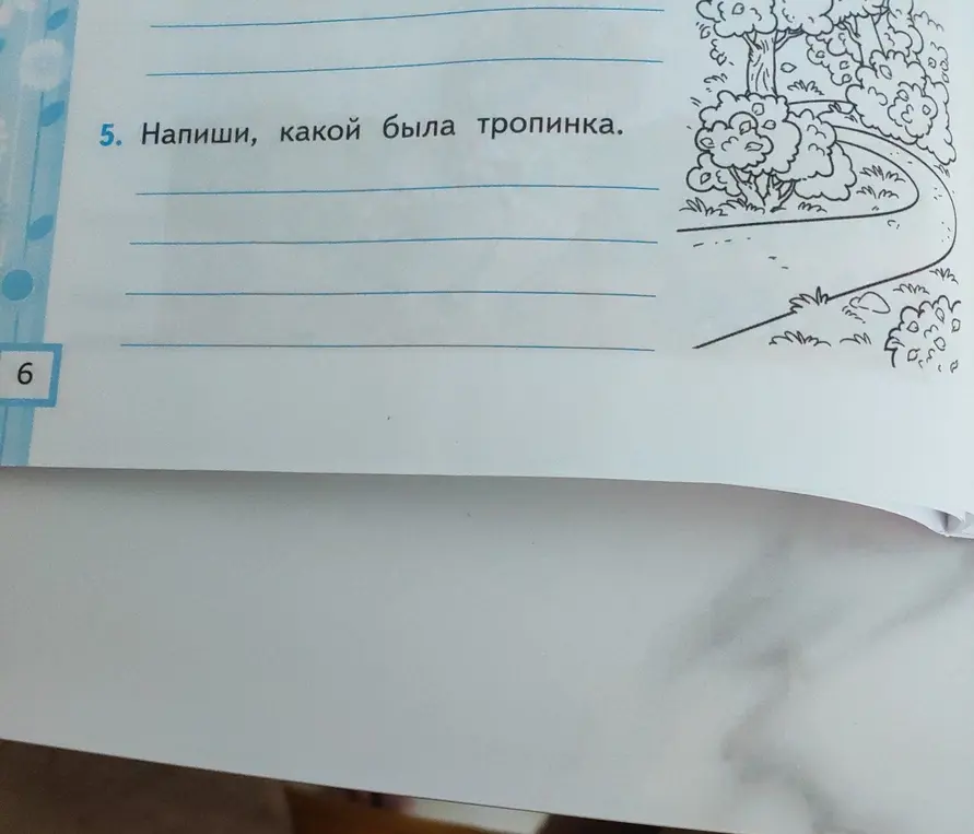 Опиши тропинку на картинке