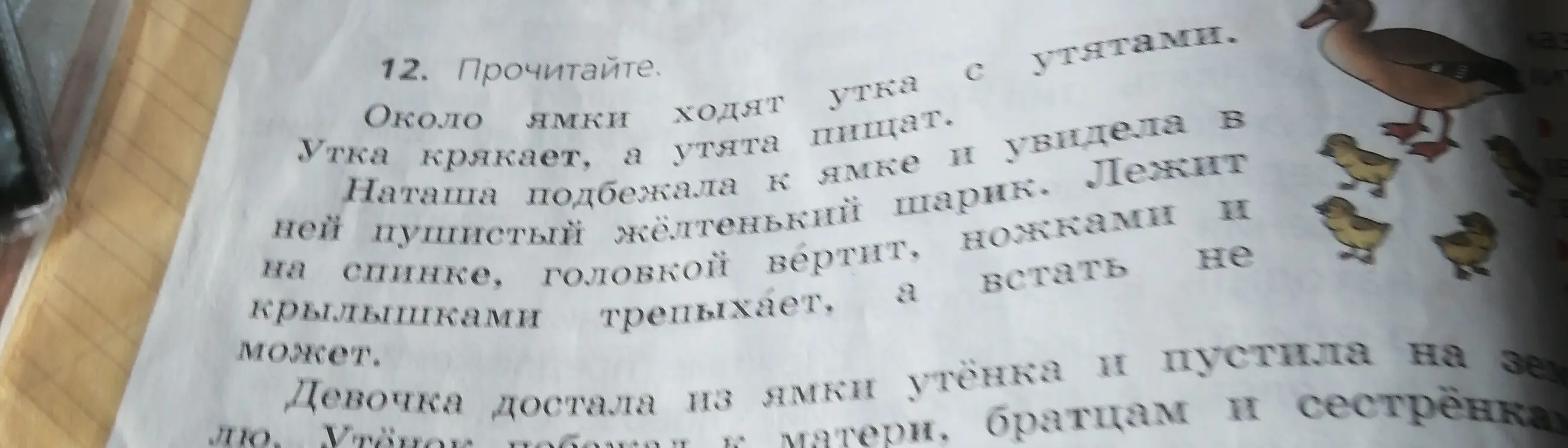Прочитай текст "Около ямки ходят утка с утятами"