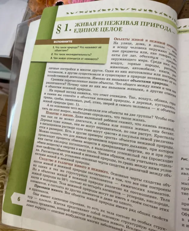 Что такое природа? Что называют её объектами?