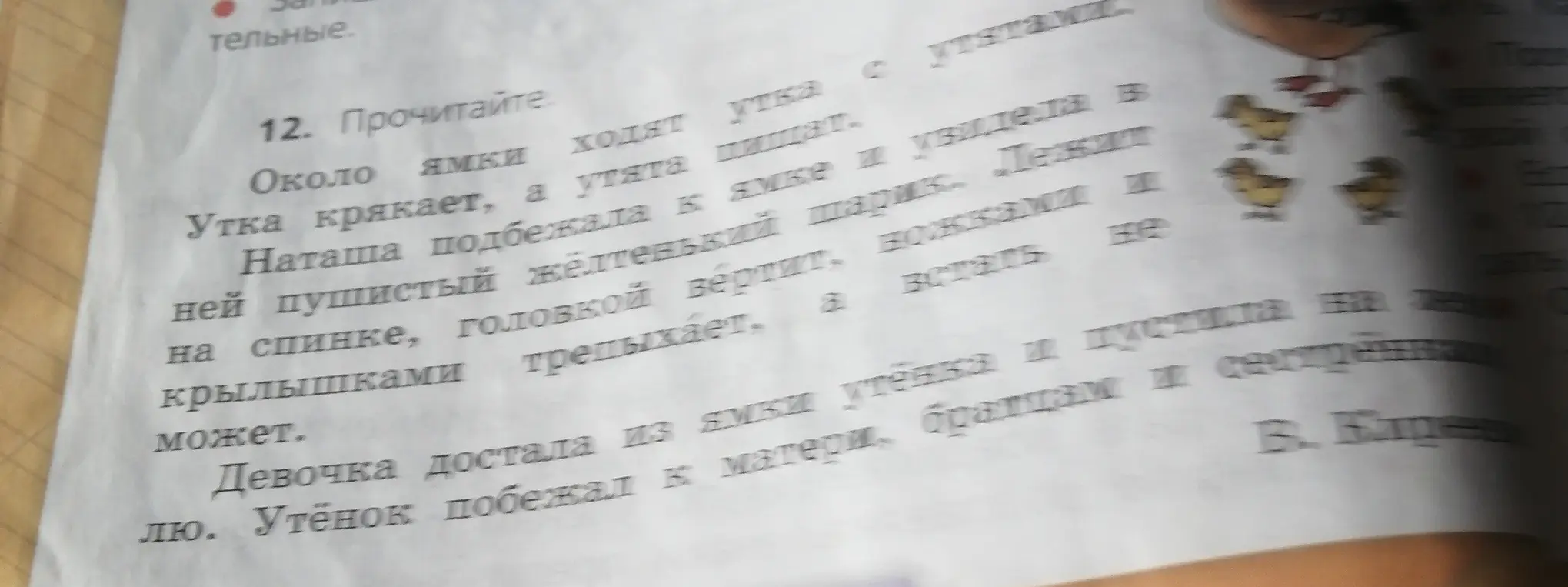 Прочитай текст в упражнении 12 на странице 12