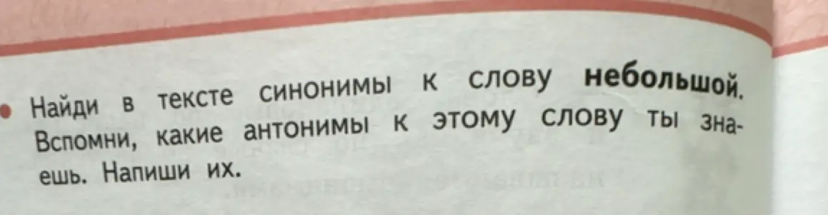 Найди в тексте синонимы к слову "небольшой".