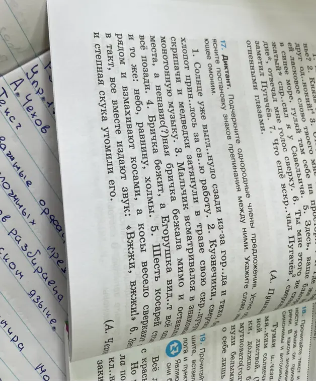 Подчеркни однородные члены предложения и устно объясни постановку знаков препинания между ними. Укажи слово, являющееся омонимом в упражнении 17