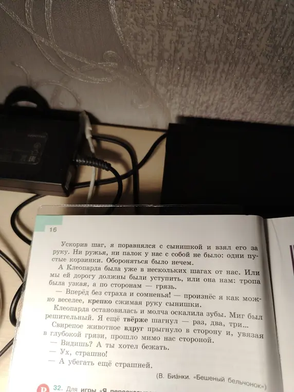Ты просишь придумать название для текста про бешеного бельчонка.