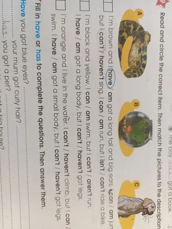 Выполни упражнение Read and circle the correct item и заполни пропуски в упражнении Fill in have or has