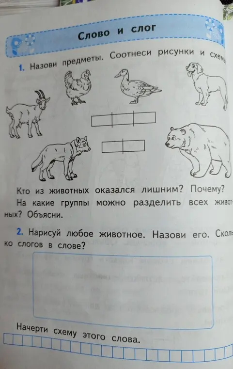 Назови предметы на картинке, соотнеси рисунки и схемы. Кто из животных оказался лишним и почему? На какие группы можно разделить всех животных?
