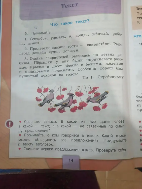 Сравни записи: в какой из них даны слова, в какой — текст, а в какой — не связанные по смыслу предложения?