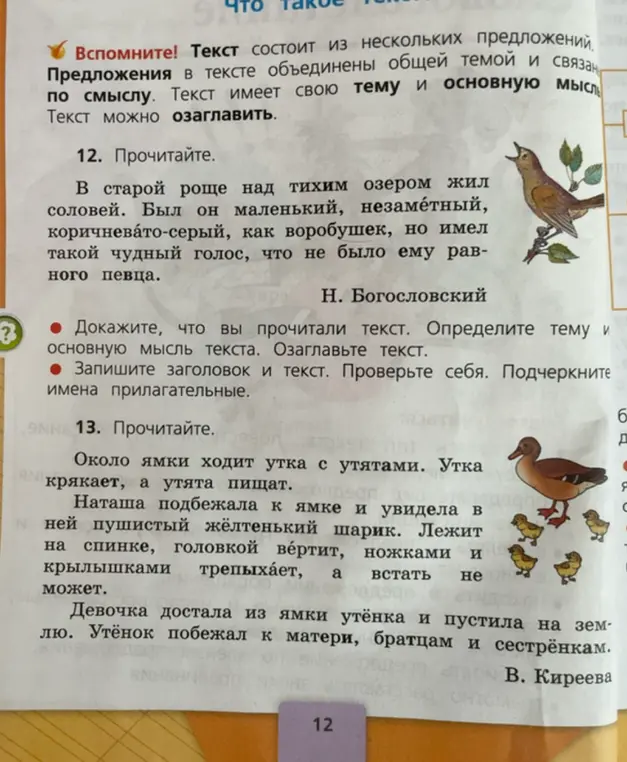 Ты просишь доказать, что прочитал текст, определить тему и основную мысль текста, озаглавить текст, записать заголовок и текст, подчеркнуть имена прилагательные в упражнениях 12 и 13