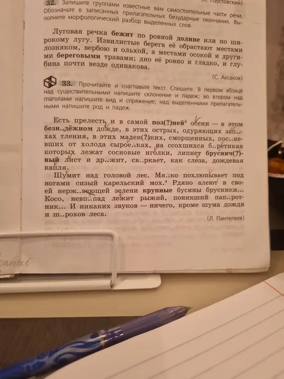 Выполни морфологический разбор существительных, определи вид и спряжение глаголов, род и падеж прилагательных в тексте