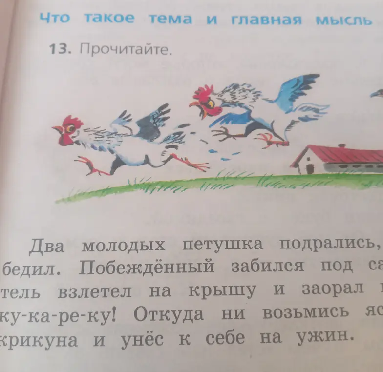 Определи тему и главную мысль в тексте про петушков