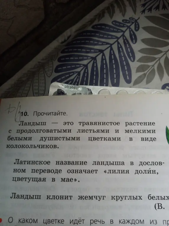 О каком цветке идёт речь в каждом из предложений?
