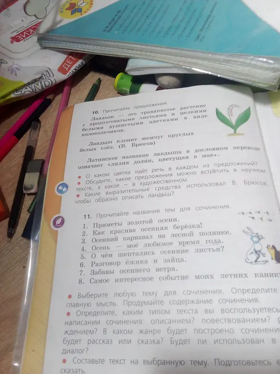 Объясни, о каком цветке идет речь в каждом из предложений в 10 задании, и дай темы для сочинения из 11 задания.