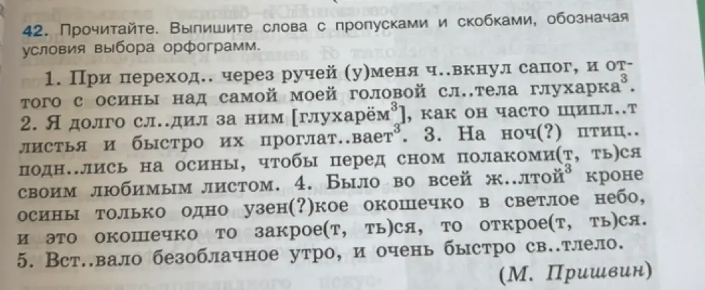 Выпиши слова с пропусками и скобками, обозначая условия выбора орфограмм в тексте про переходы через ручей.