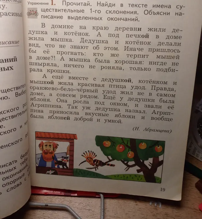 Ты просишь меня найти в тексте имена существительные 1-го склонения и объяснить написание выделенных окончаний.
