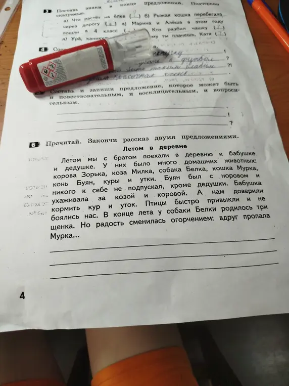 Ты просишь расставить знаки препинания в предложениях и закончить рассказ двумя предложениями.