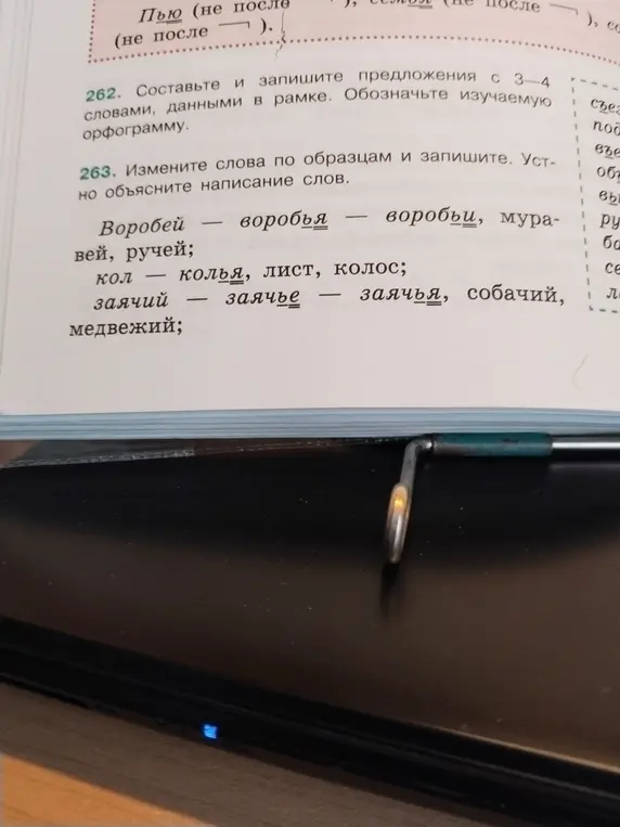 Измени слова по образцам и запиши: воробей - воробья - воробьи, муравей, ручей; кол - колья, лист, колос; заячий - заячье - заячья, собачий, медвежий