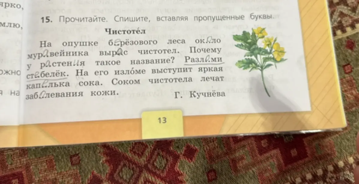 Вставь пропущенные буквы в тексте про чистотел