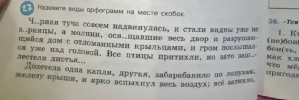 Назови виды орфограмм на месте скобок в тексте