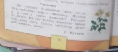 Ты просишь вставить пропущенные буквы в тексте про чистотел.