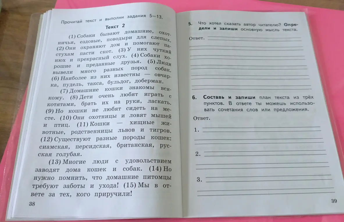 Определи основную мысль текста и составь план текста из трёх пунктов