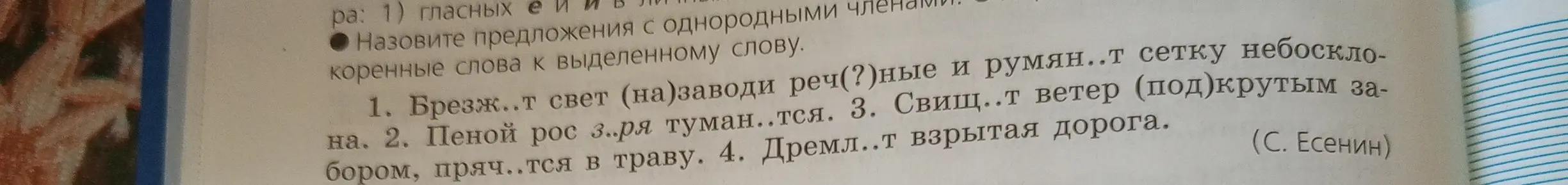 Объясни, какие буквы нужно вставить в слова: Брезж..т свет (на)заводи реч(?)ные и румян..т сетку небоскло-