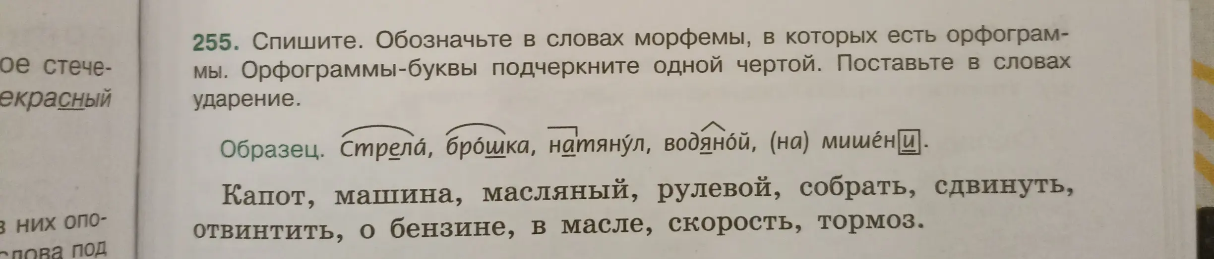 Помоги мне обозначить в словах морфемы, в которых есть орфограммы, подчеркнуть орфограммы-буквы одной чертой и поставить в словах ударение в упражнении 255
