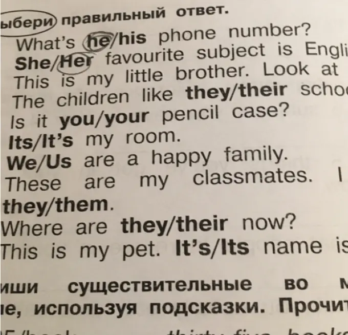 Выбери правильные ответы в предложениях с пропусками