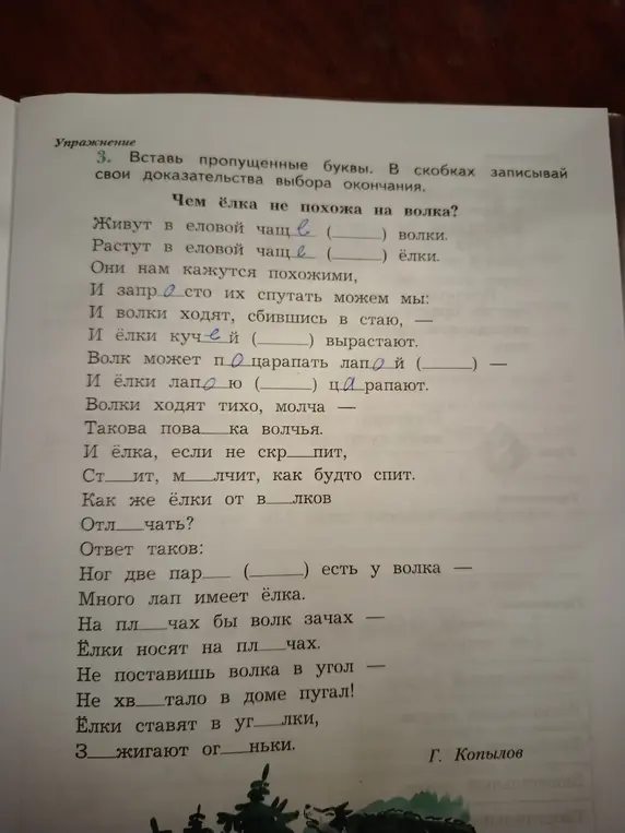 Вставь пропущенные буквы в предложении 'Живут в еловой чаще (...) волки'